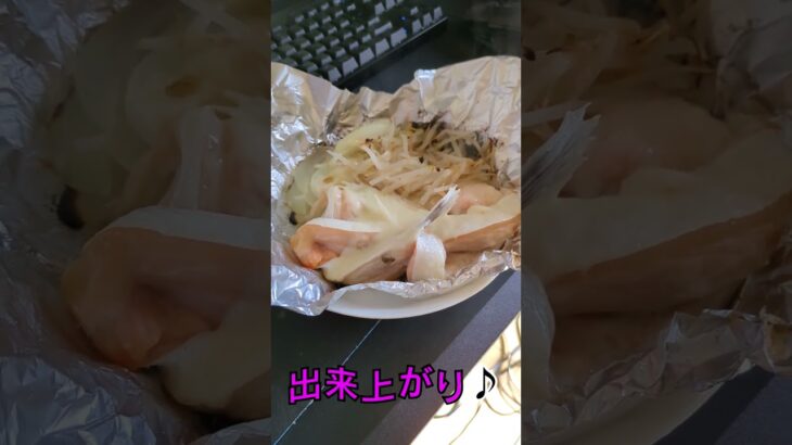 血糖値調査 サーモン編 #食事  #健康  #血糖値  #魚 #糖尿病1型  #勉強  #ショート