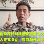 看葵花籽对血糖的影响有多大！糖人吃100克，看血糖升高多少！