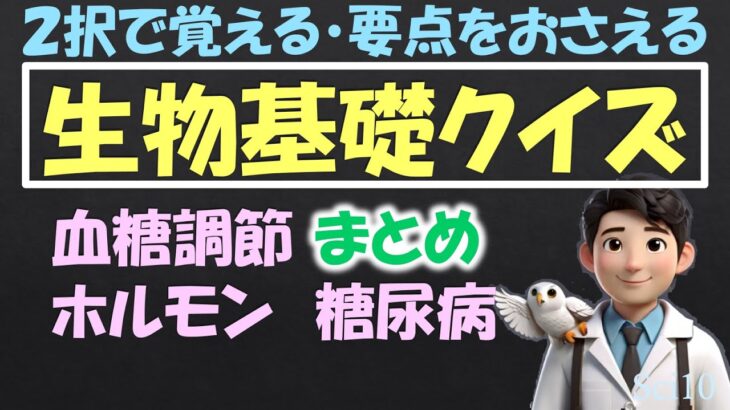 【生物基礎クイズ】血糖調節まとめ 低血糖・高血糖 糖尿病  ホルモン 自律神経 2択問題 解説付き 短時間でわかりやすく要点整理 最後に振り返りで確認