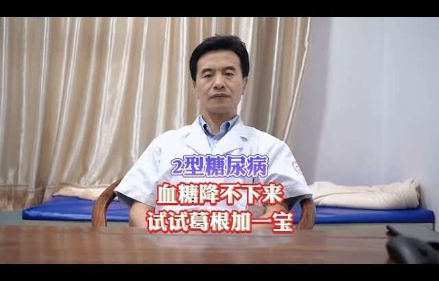 2型糖尿病，血糖降不下来，辅助调理