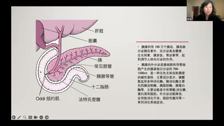 20241011 糖尿病的预防和营养调理 （Gao Xiao）