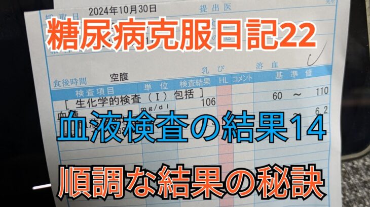 糖尿病克服日記22　血液検査の結果14