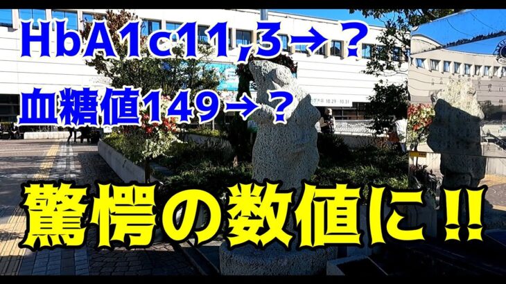 【糖尿病】米、パン、麺類を食べなくなってはや2ヶ月。HbA1cや血糖値はどうなったのか？