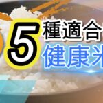 健康米飯｜5種適合糖尿病吃的低升糖米飯（低GI米），膳食纖維含量超高可有效穩定血糖、降低膽固醇及抗發炎，比吃糙米還要好的米飯【糖老大】