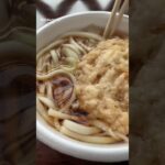 自販機のうどん見つけたら糖尿病とて食うに決まってる俺の食事療法609日目おやつ #俺の食事療法 #糖尿病の品格 #毎食投稿 #秋田県 #セリオン #自販機 #うどん #うどん自販機 #vlog