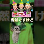 当然AAA #cat #糖尿病 #ネタ #funny #大食い #animals #1型糖尿病