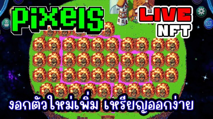 [ LIVE ] Pixel (Game NFT) เก็บเวลเหมือง EP.278