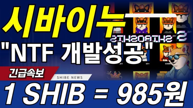 [시바이누 코인] 개발팀 사고쳤다! NFT 1만개 개발성공! 초대형 고래들 출몰! 무조건 쓸어담아라!