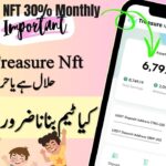 Treasure Nft Real or Fake || Treasure Nft Income & Withdraw || Treasure Nft Working