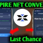 X Empire Convert NFT to $X Update | X Empire Airdrop How to convert NFT to $X Token