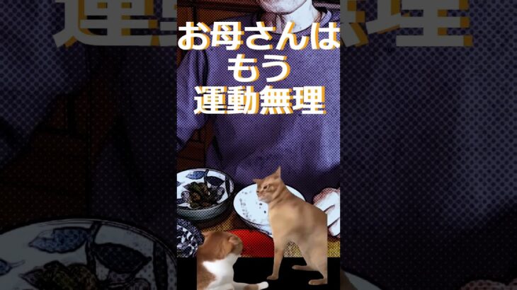 明るくない介護 #cat #糖尿病 #ネタ #料理 #猫ミーム