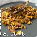 糖尿病でも食べれる焼飯！オートミールと野菜と卵！