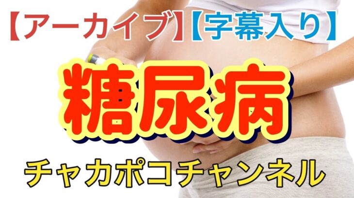 【アーカイブ】偉そうに糖尿病の初期症状を語ってみた【字幕入り】