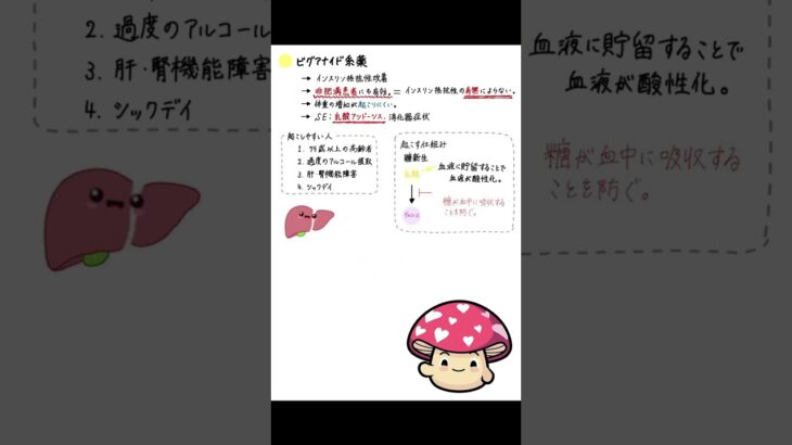 糖尿病治療薬・ビグアナイド系