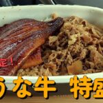 【１型糖尿】今日の昼ご飯の血糖値は？すき家「うな牛 特盛」を贅沢にガッツリいただきます！【車中飯】【食レポ】