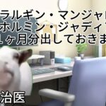 【猫ミーム】糖尿病療養３ヶ月目の記録