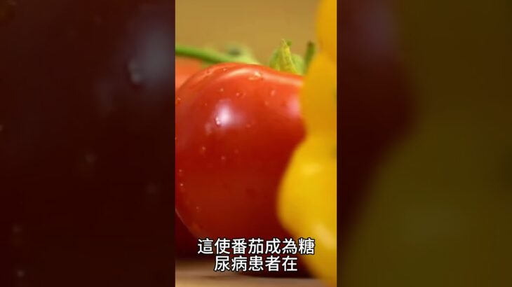 【糖尿病症状 饮食】番茄：對糖尿病患者的益處，穩定血糖與營養豐富的選擇！13