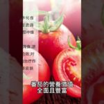 【糖尿病症状 饮食】番茄：對糖尿病患者的益處，穩定血糖與營養豐富的選擇！16