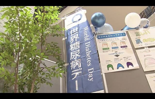 【5人に1人が糖尿病患者か予備軍】「夫が予備軍になってしまって」世界糖尿病デーに糖尿病予防を呼びかけ (2024年11月5日)