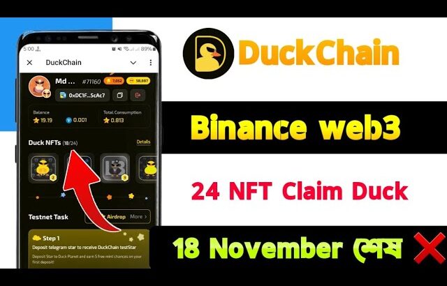 Duck Chain NFT | duck chain airdrop | Binance Web3 DuckChain I duck chain testnet | Duck 18 November