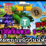 [🔴LIVE] EP.261 MapleStory Universe NFT/P2E เปิดทดสอบแล้ววันนี้ทั่วโลก บอกวิธีเก็บเลเวล 1-100 สายฟรี!