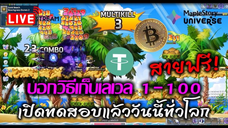 [🔴LIVE] EP.261 MapleStory Universe NFT/P2E เปิดทดสอบแล้ววันนี้ทั่วโลก บอกวิธีเก็บเลเวล 1-100 สายฟรี!