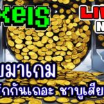 [ LIVE ] Pixel NFT เจ็บจากไหนมา ให้ที่นี้รักษา 55+ EP.290