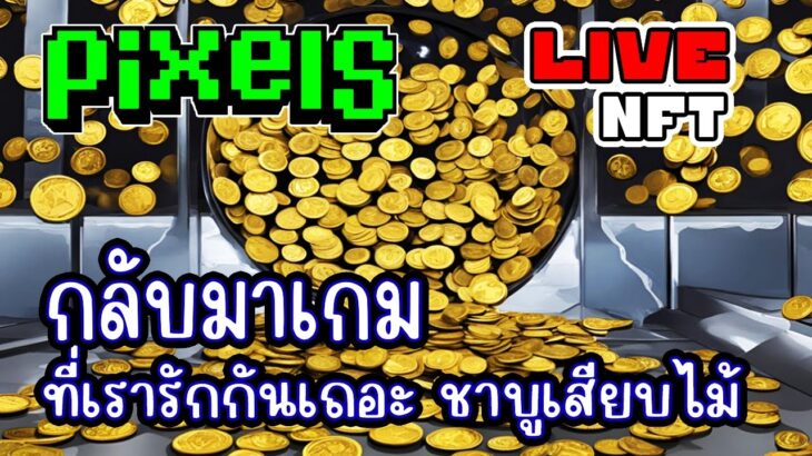 [ LIVE ] Pixel NFT เจ็บจากไหนมา ให้ที่นี้รักษา 55+ EP.290