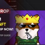 Learn How to Secure 1 SHIB NFT Airdrop in Just Minutes