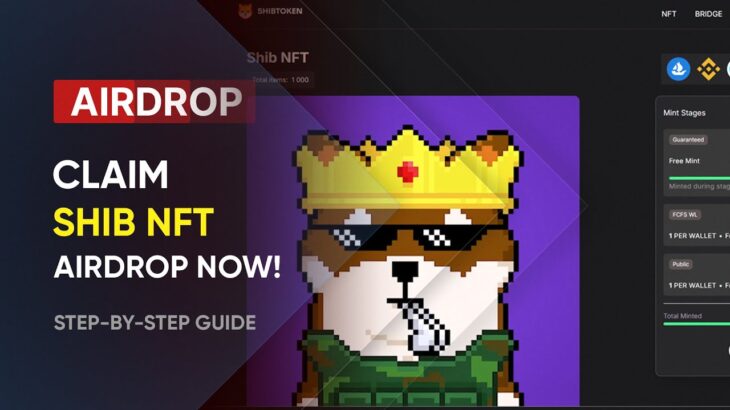 Learn How to Secure 1 SHIB NFT Airdrop in Just Minutes