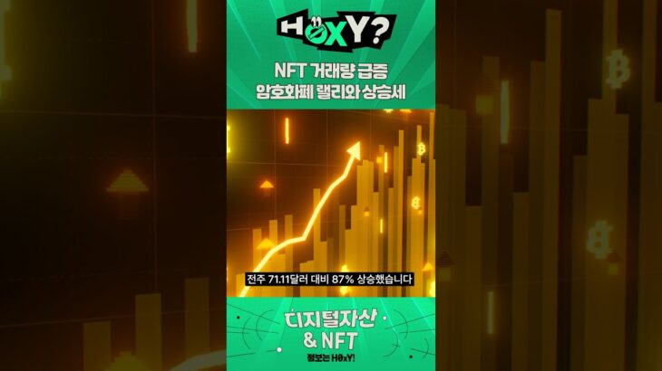 NFT 거래량 급증, 암호화폐 시장 랠리와 함께 상승세