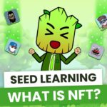 NFT: Everything You Need to Know & SEED NFT Sneak Peek | SEED Learning #11