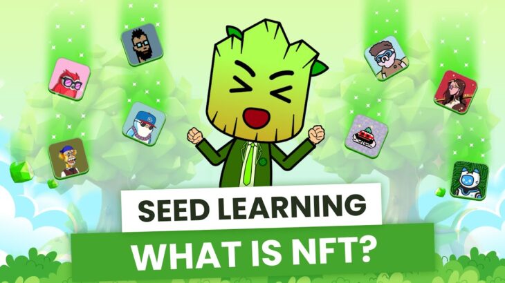 NFT: Everything You Need to Know & SEED NFT Sneak Peek | SEED Learning #11