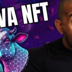 NFT MÃO DE VACA