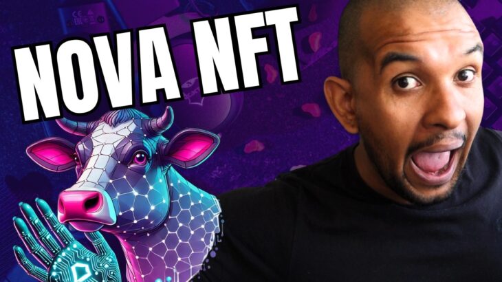 NFT MÃO DE VACA