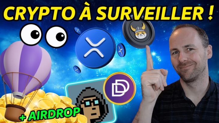 🚨 SURVEILLE CES CRYPTOS ! AIRDROP $FLOKI – PUMP NFT – GAMING – ACTU