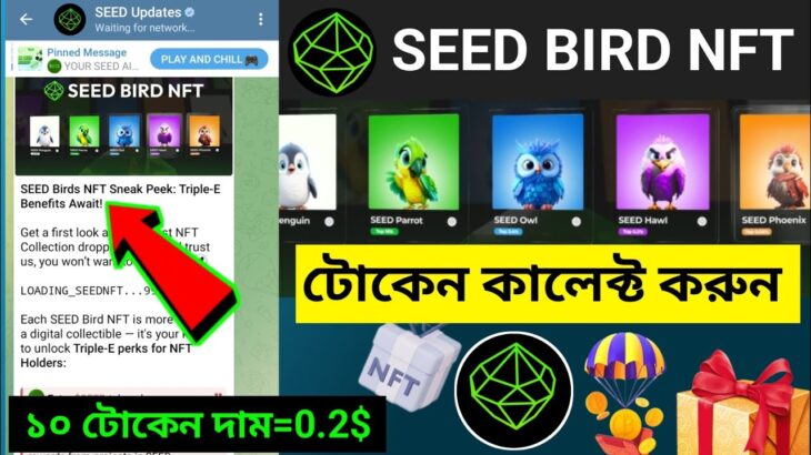 Seed Bird Nft কালেক্ট করুন | Seed Bird Nft New Update|Seed New Update Today|SEED a birds kivabe anbo