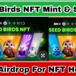 Seed Birds NFT Claim & Sell | How To Claim Seed NFT | Seed NFT Sell  | Seed NFT |#seedmining