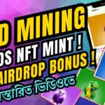 Seed Mining Birds NFT Mint | Seed Mining NFT Mint Process | How to Get Seed Airdrop Bonus