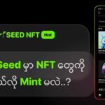 🌱Seed မှာ NFT တွေကို ဘယ်လို Mint မလဲ..?