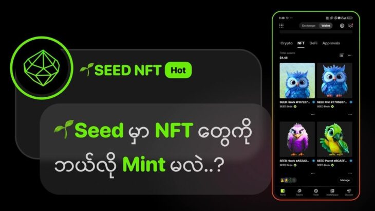 🌱Seed မှာ NFT တွေကို ဘယ်လို Mint မလဲ..?