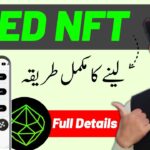 Seed NFT Mint Process | Seed NFT Mint Kaise Kare | Seed Airdrop NFT Mint | How to Mint NFT on Seed