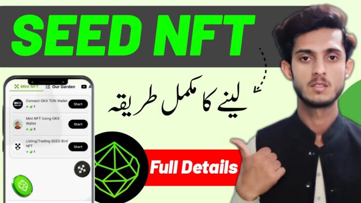 Seed NFT Mint Process | Seed NFT Mint Kaise Kare | Seed Airdrop NFT Mint | How to Mint NFT on Seed