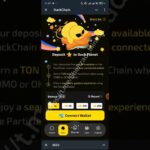 Seed NFT bind နဲ့ ရောင်းနည်း + Duckchain mainnet and wallet ချိတ်နည်း