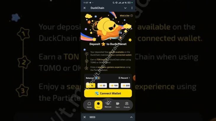 Seed NFT bind နဲ့ ရောင်းနည်း + Duckchain mainnet and wallet ချိတ်နည်း