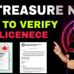 Treasure NFT How To Verify MSB Licence & Certificates || Don’t Blaim Seniors