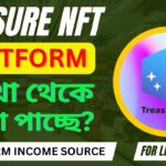 Treasure NFT Platform কীভাবে টাকা ইনকাম করছে ? Treasure NFT How to Work & Treasure Income Source |