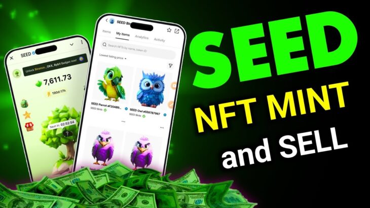 seed airdrop update | how to mint seed bird NFT and sell to the market