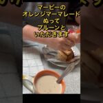 朝食はブロッコリーでダイエット #shorts #60代 #ダイエット ＃糖尿病 #ひたこ