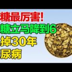 一味中药，巧降血糖！坚持用下去，让你告别糖尿病【养生大中医】